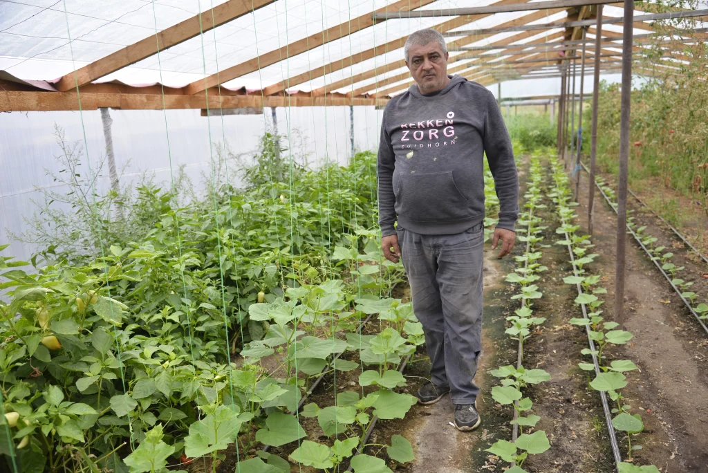 Vichente Sebastian, producător legume și răsaduri