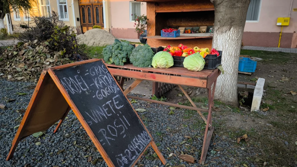 Leuștean Isabela, producător de legume