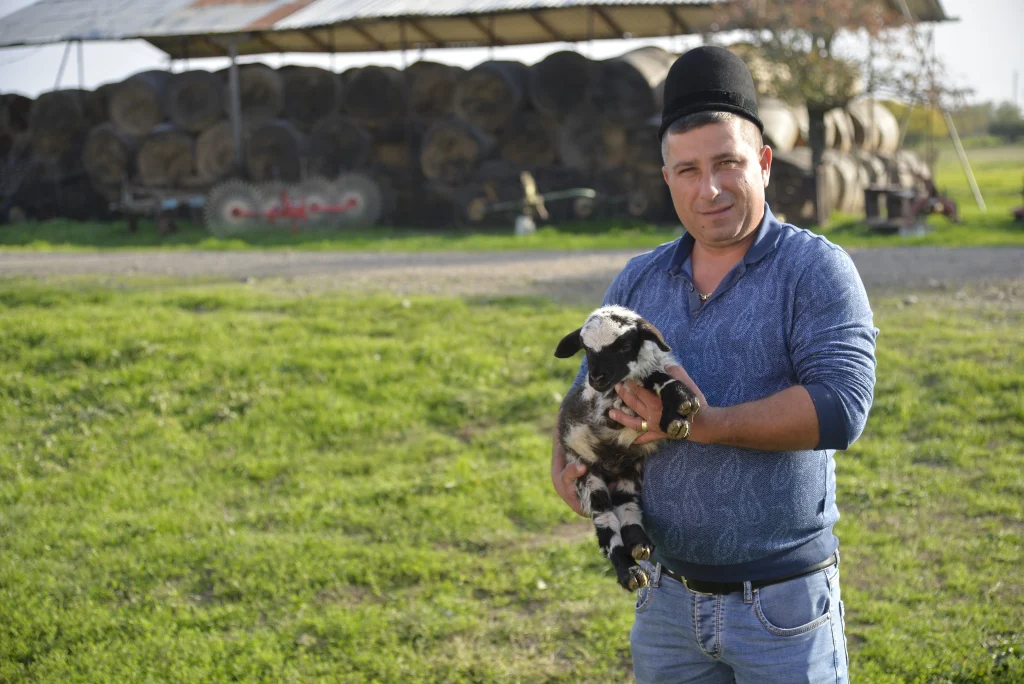 Hînsa Dumitru, crescător de ovine