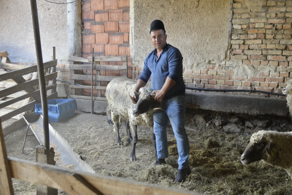 Hînsa Dumitru, crescător de ovine