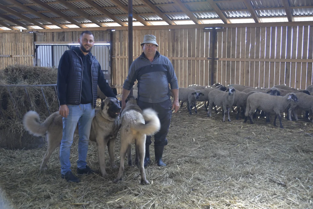 Gheorghiță Mircea, crescător de ovine