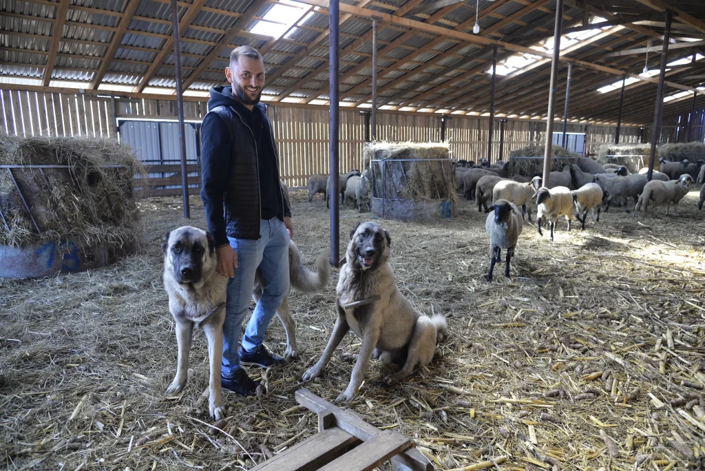 Gheorghiță Mircea, crescător de ovine