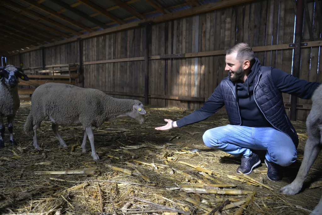 Gheorghiță Mircea, crescător de ovine