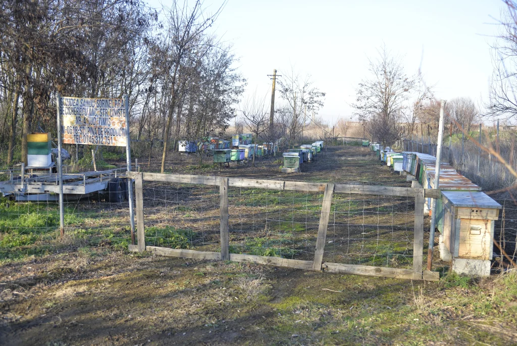 Glujdea Sandu Sorinel, apicultor
