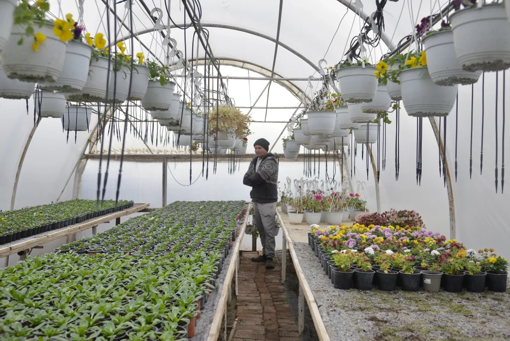 Tiran Ioan, producător de flori și plante aromatice