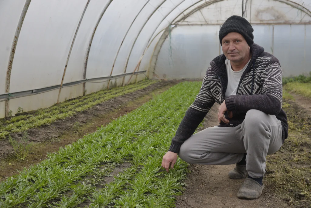 Tiran Ioan, producător de flori și plante aromatice