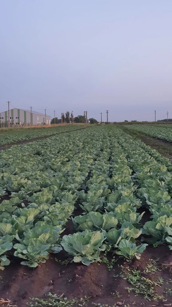 S.C. Basti Agro SRL