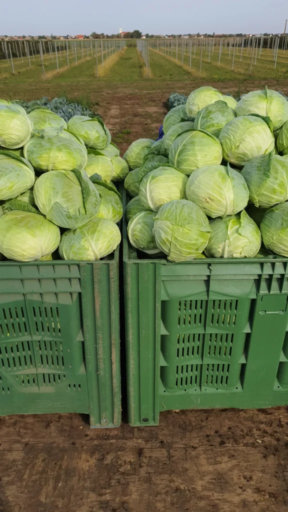 S.C. Basti Agro SRL
