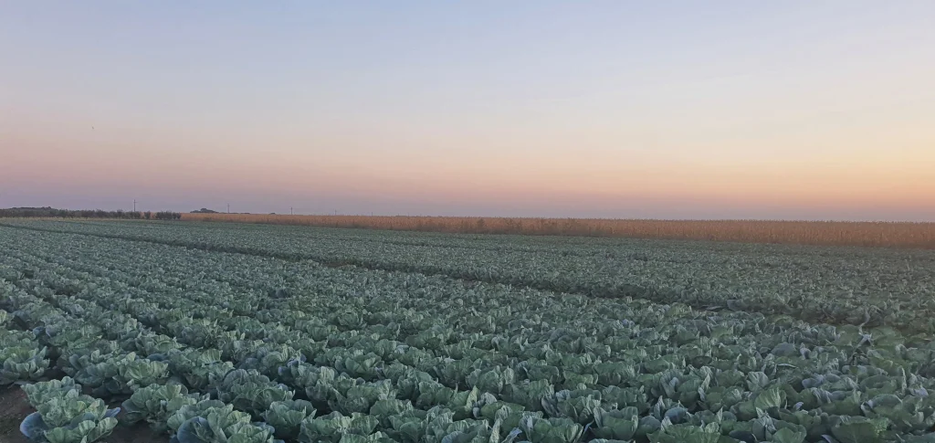 S.C. Basti Agro SRL