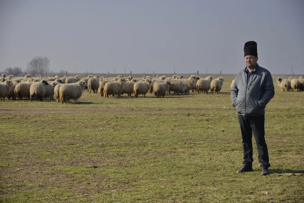 Popa Vasile, crescător de ovine
