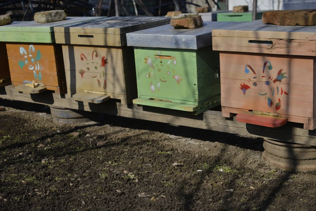 Neag Emil, apicultor și producător de legume