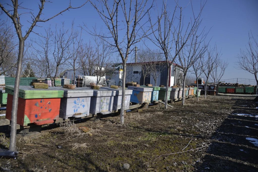 Neag Emil, apicultor și producător de legume