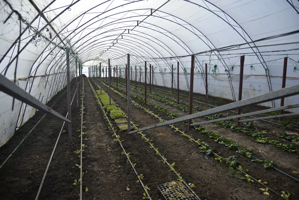 Neag Emil, apicultor și producător de legume