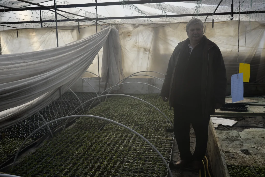 Mursa Salon, producător de legume
