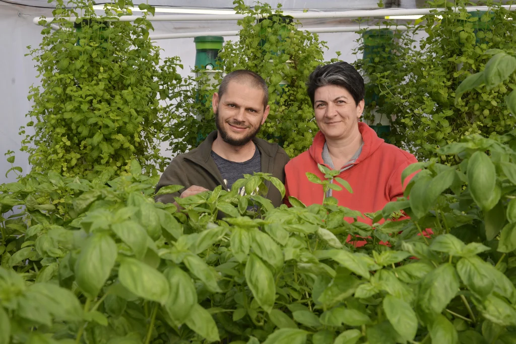 Bota Emese și Bota Sebastian, producători plante aromatice