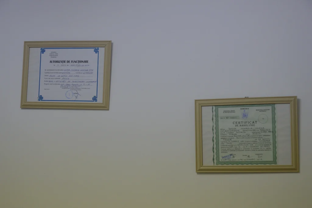Borza Mihaela Cristina PFA