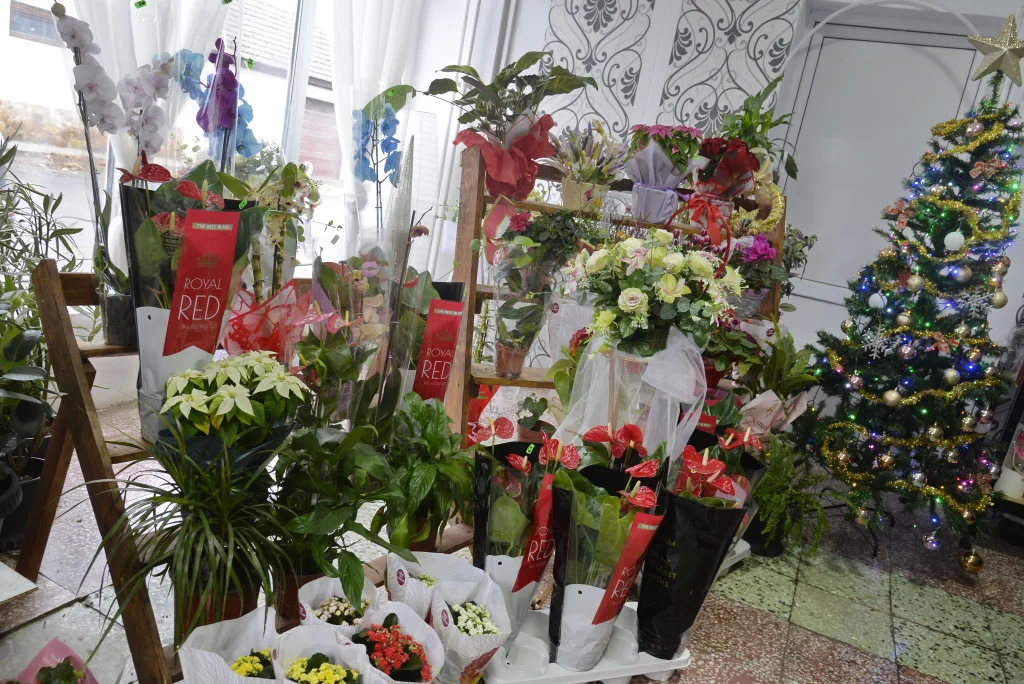 S.C. Miranice Flowers S.R.L