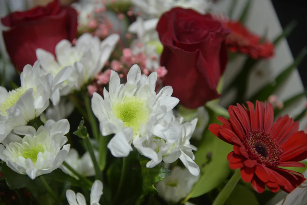 S.C. Miranice Flowers S.R.L
