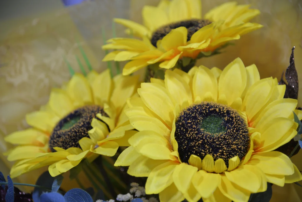 S.C. Miranice Flowers S.R.L