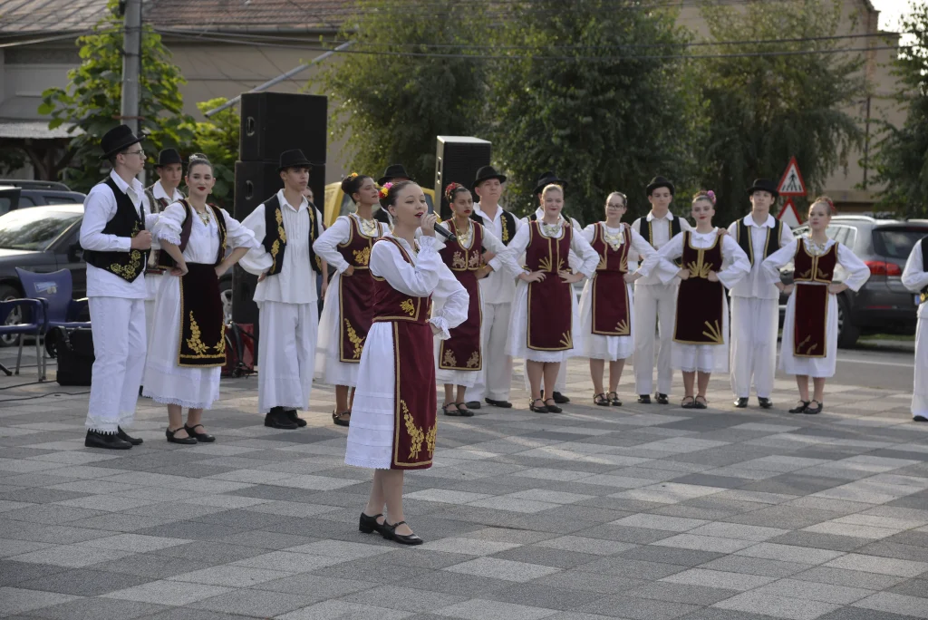 Ansamblul Folcloric ”Doina”
