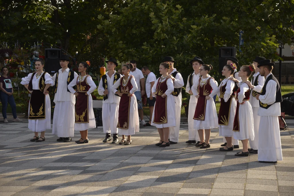 Ansamblul Folcloric ”Doina”