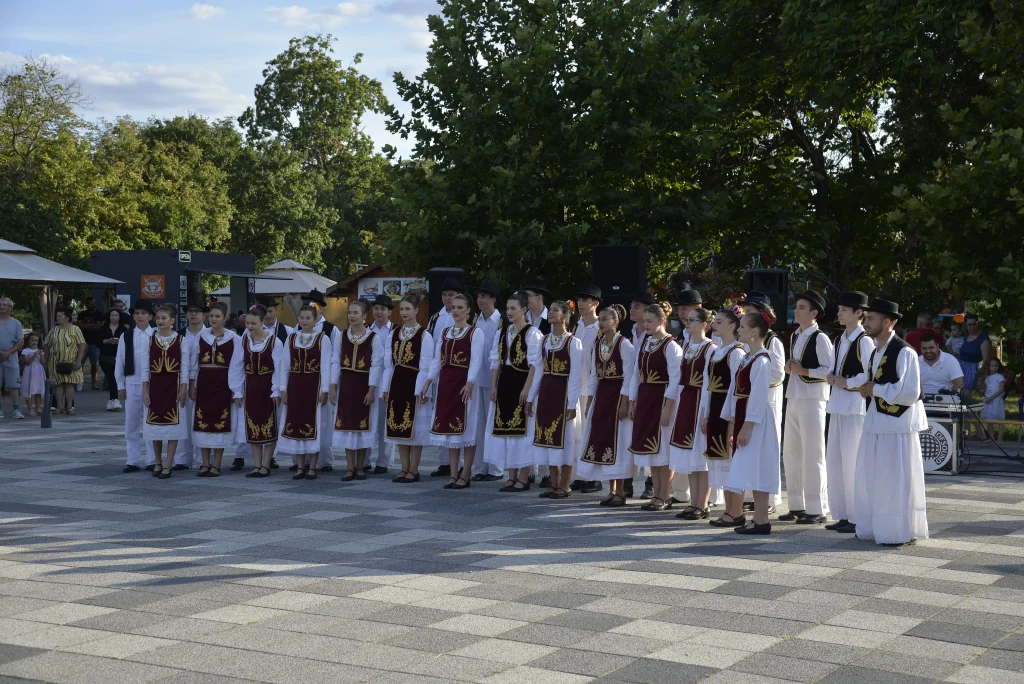 Ansamblul Folcloric ”Doina”